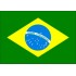 BRAZIL YELLOW BOURBON