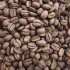 HONDURAS OMAR RODRIGUEZ NATURAL SPECIALTY